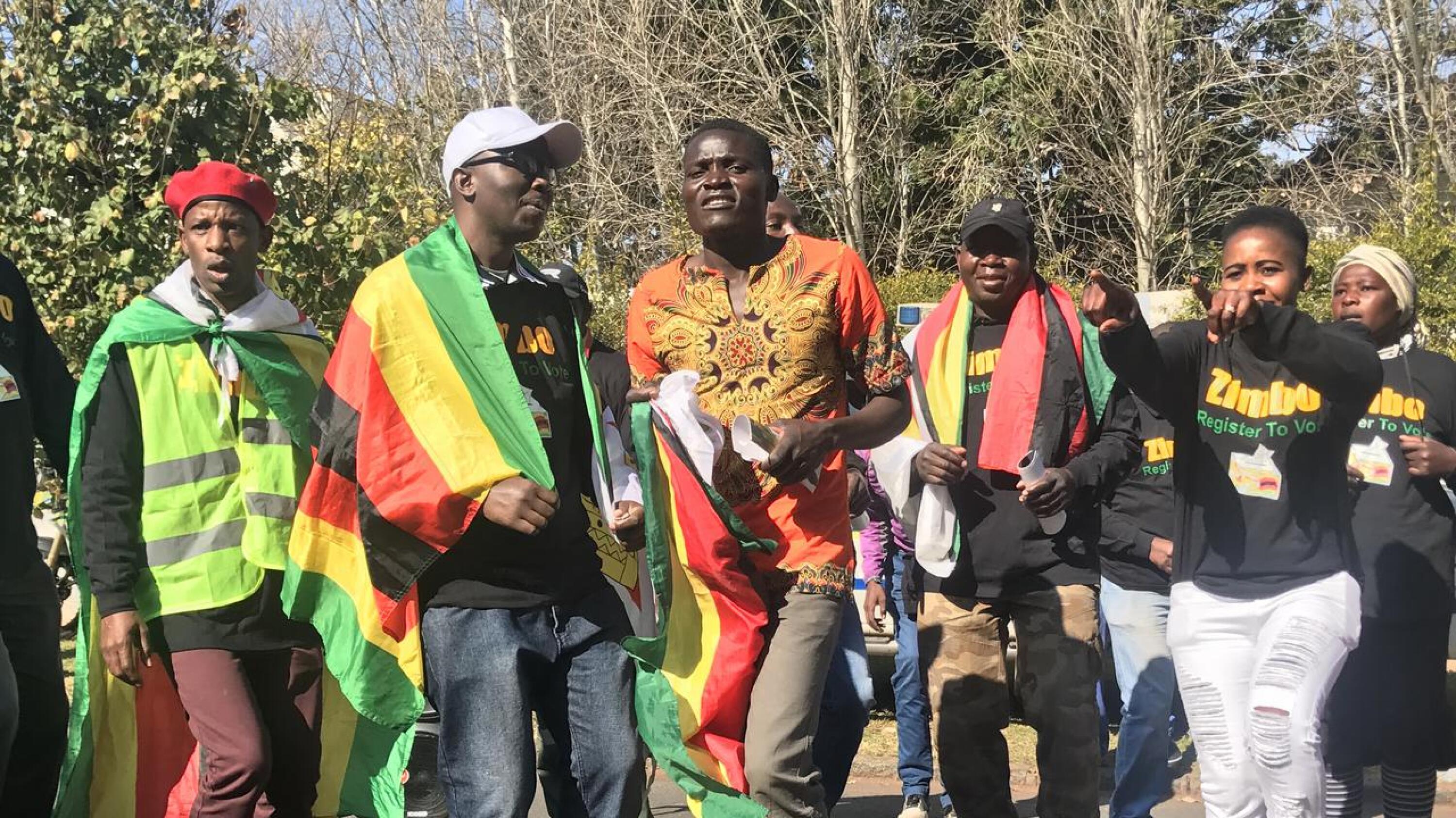 A group of people marching with Zim flags