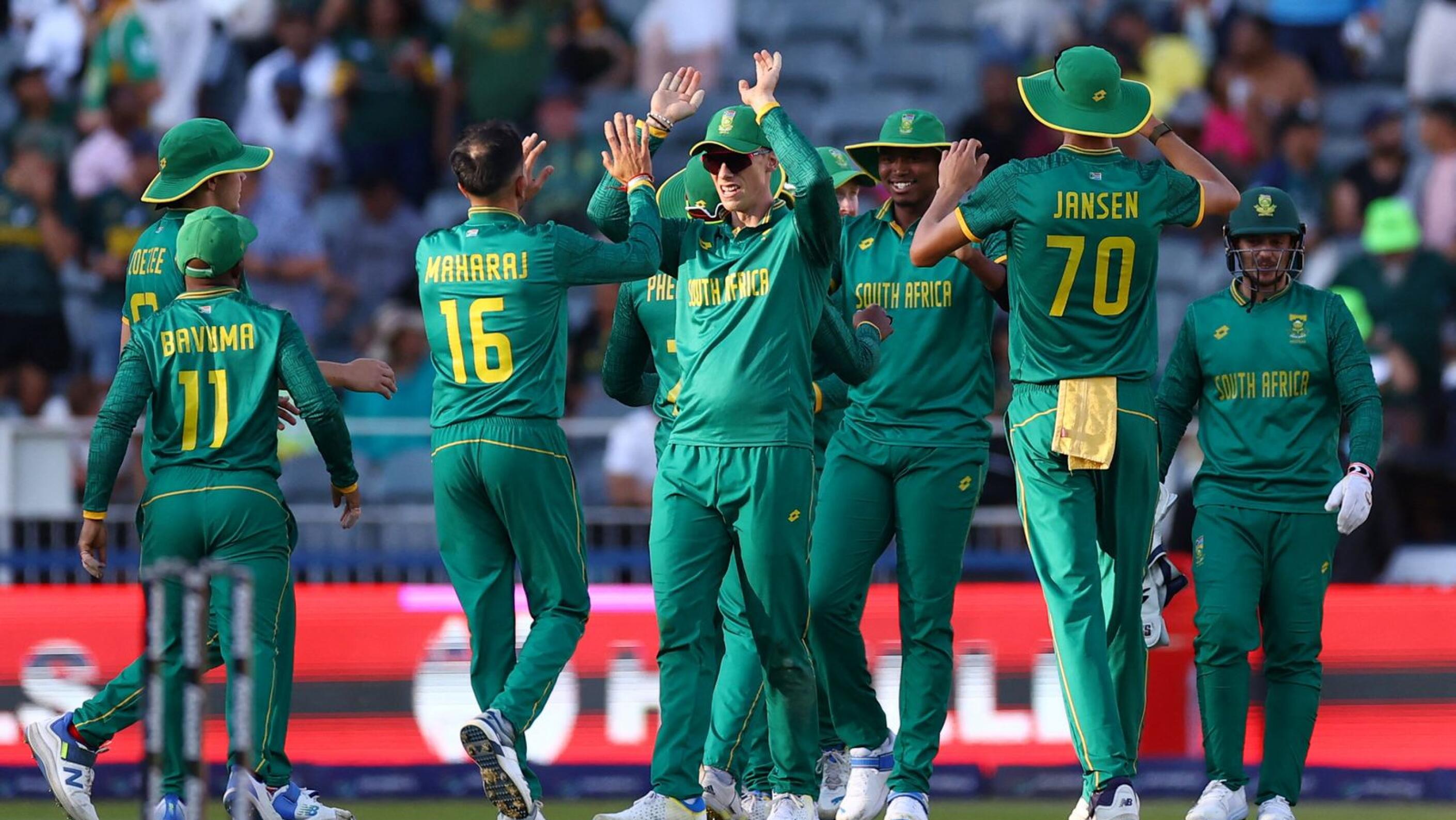 Proteas players celebrate a wicket 