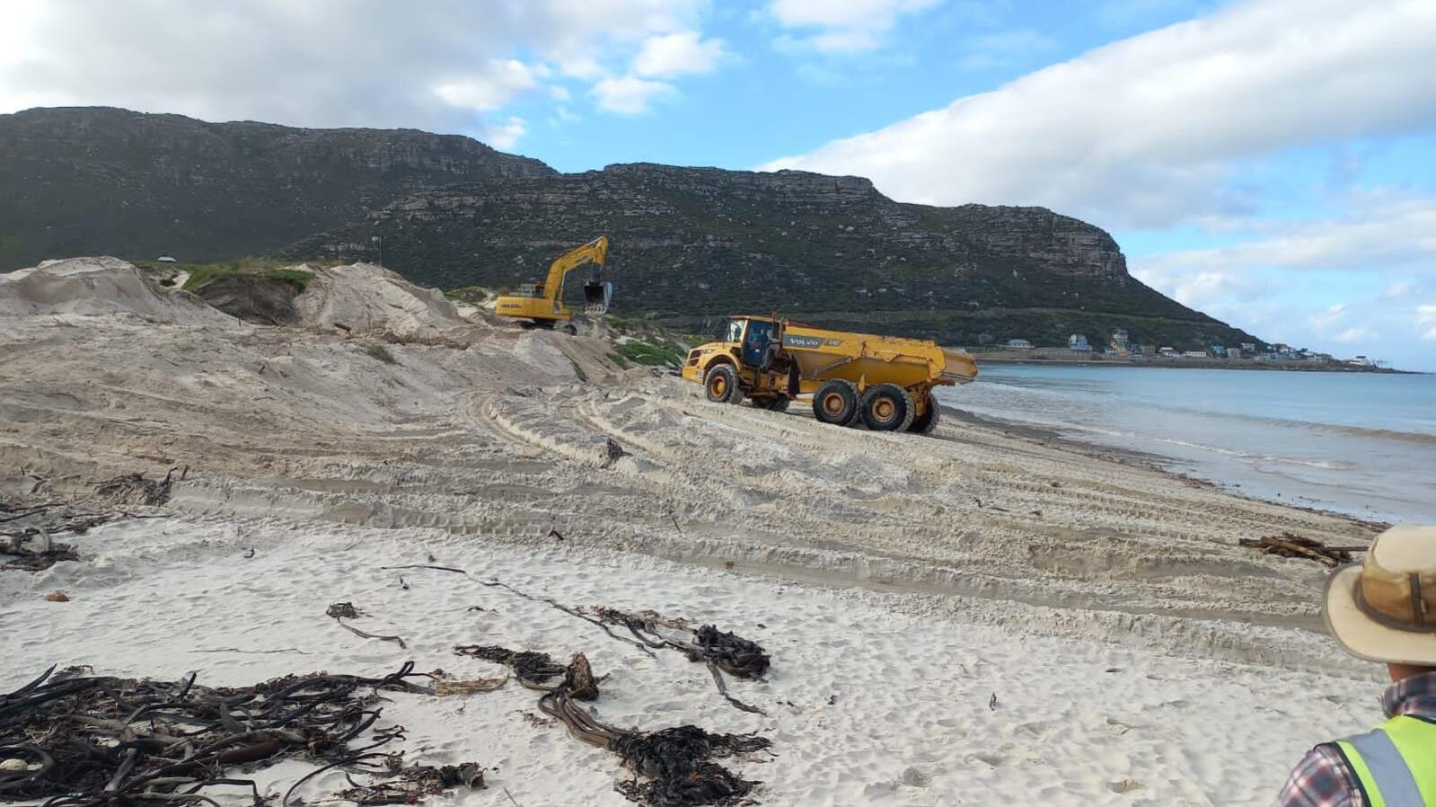 Dune restoration gets going at Fish Hoek, Glencairn - False Bay Echo