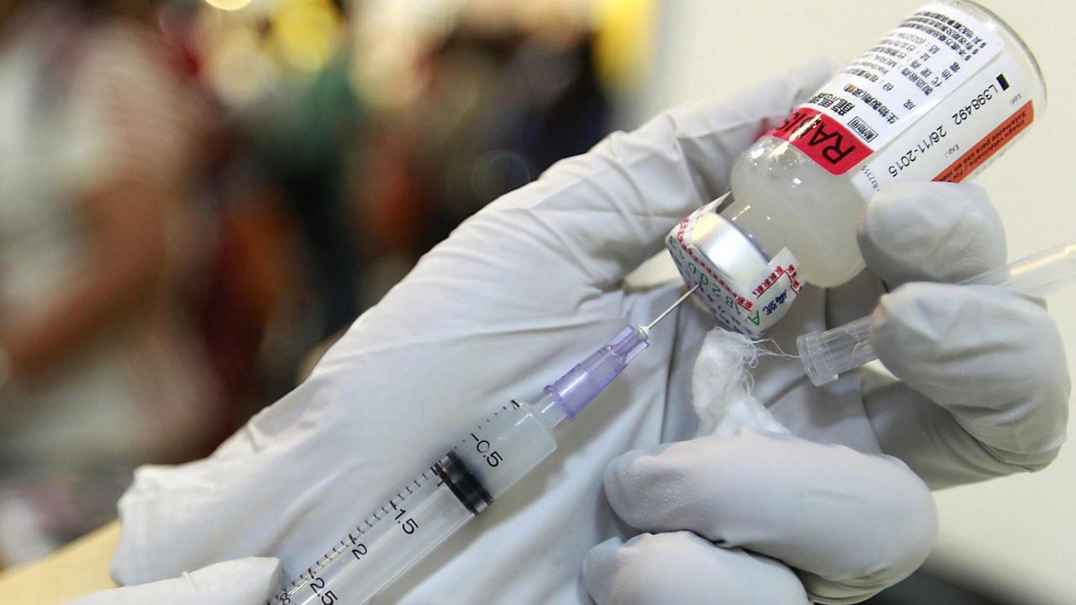 A vet prepares a dosage of rabies vaccine.
